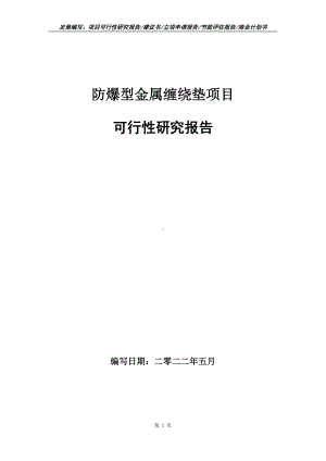 防爆型金属缠绕垫项目可行性报告（写作模板）.doc