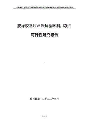 废橡胶常压热裂解循环利用项目可行性报告（写作模板）.doc