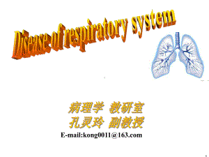 医学精品课件：8 呼吸 2.ppt