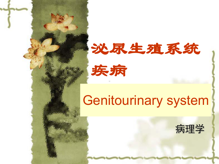 医学精品课件：泌尿生殖系统疾病2.ppt_第1页