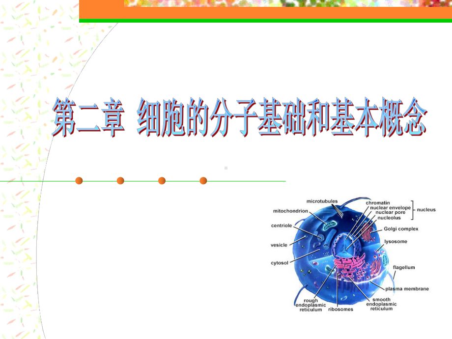 医学精品课件：第2章 细胞的分子基础和基本概念.ppt_第1页