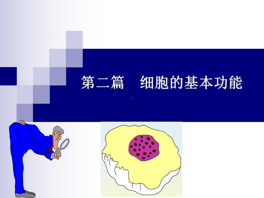 医学精品课件：2-细胞的基本功能-2.ppt_第1页