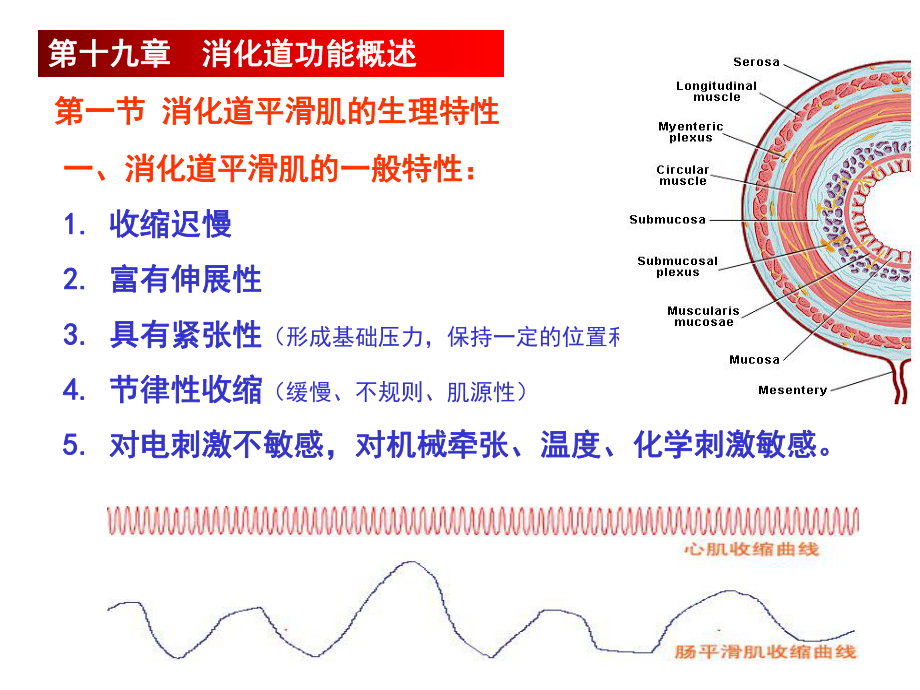 医学精品课件：第6篇消化.ppt_第2页