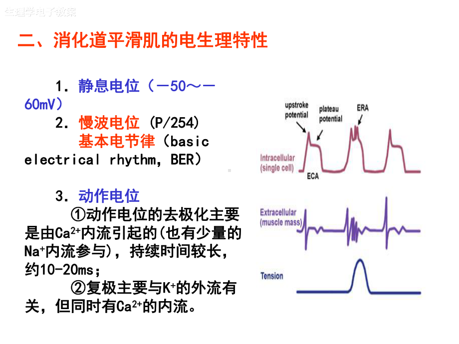 医学精品课件：第6篇消化.ppt_第3页