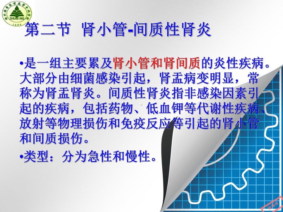 医学精品课件：泌尿2.ppt_第1页