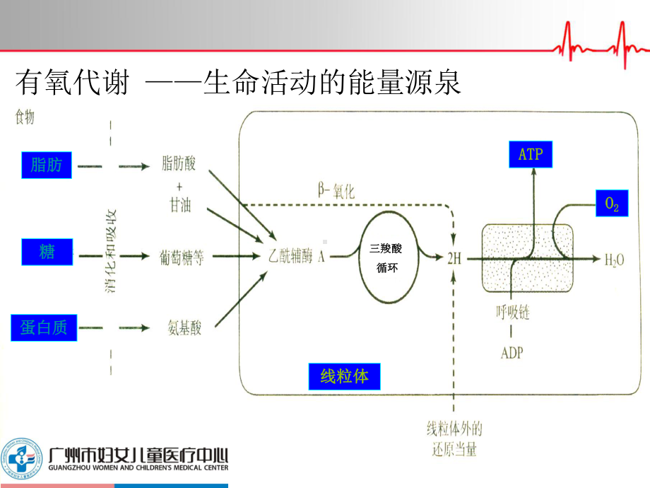 医学精品课件：呼吸循环危重状态判断与首要处理.pptx_第2页