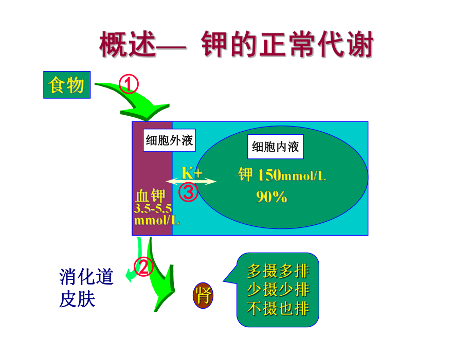 医学精品课件：3钾紊乱(2015).ppt_第2页