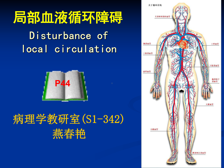 医学精品课件：3 血循障碍.ppt_第1页