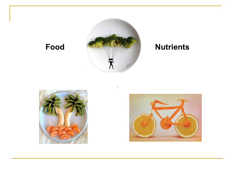 医学精品课件：1.蛋白质.ppt_第2页