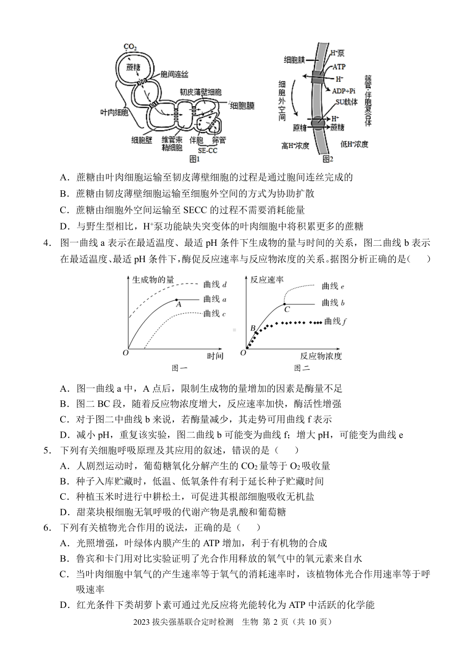 重庆XX中学2023拔尖强基联合定时检测生物试题.pdf_第2页