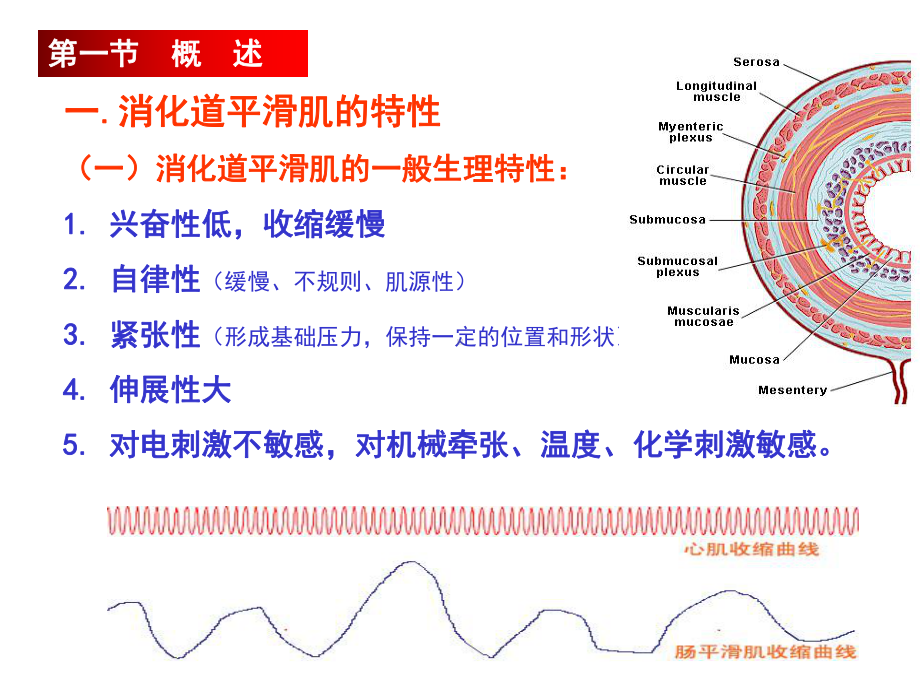 医学精品课件：6消化.ppt_第2页