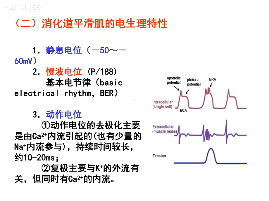 医学精品课件：6消化.ppt_第3页