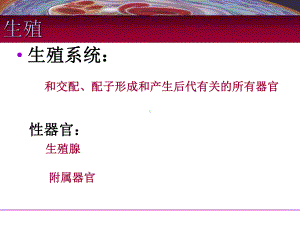 医学精品课件：生殖.ppt