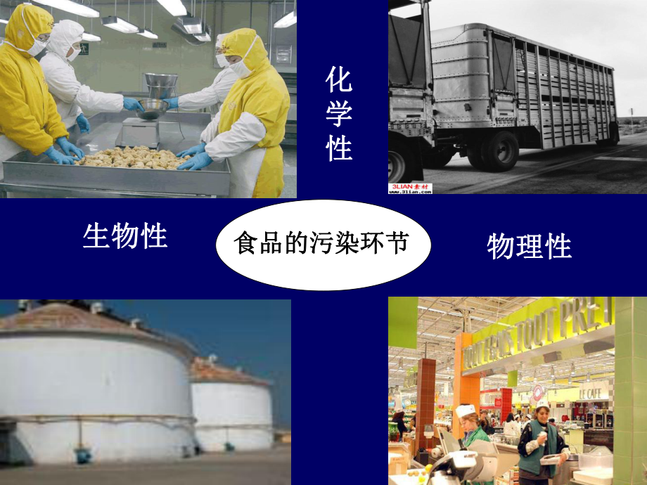 医学精品课件：各类食品卫生及管理 11.11.11.ppt_第2页