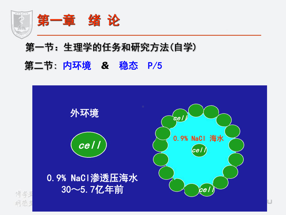 医学精品课件：1生理绪论.ppt_第3页