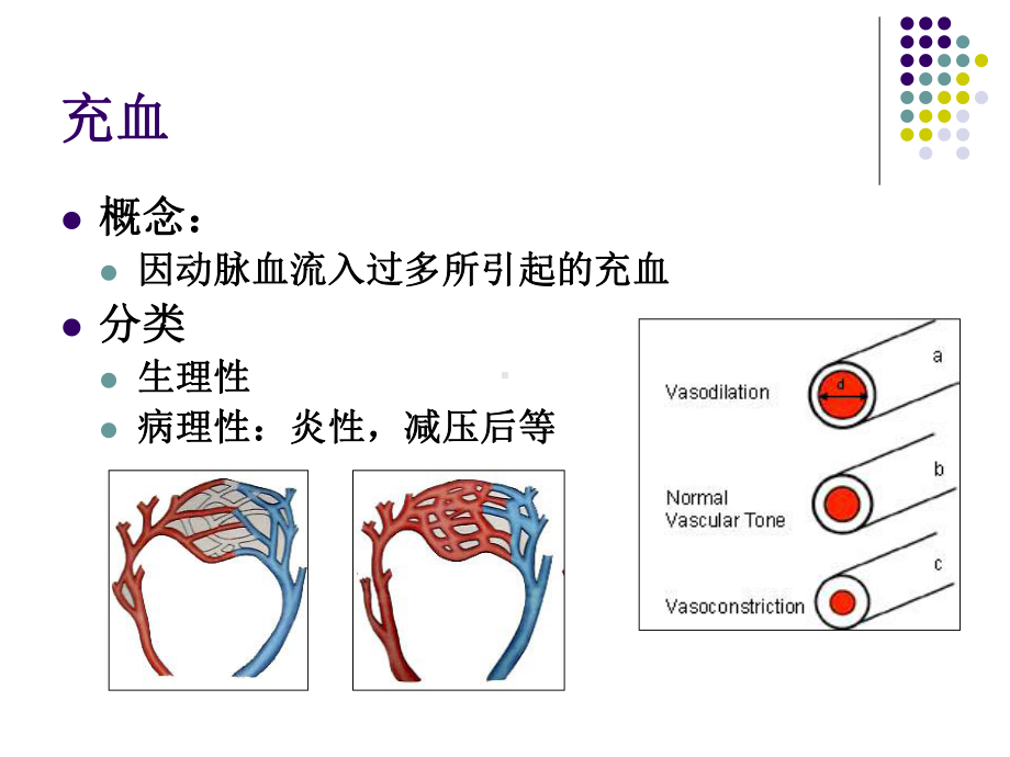 医学精品课件：4 血液循环 new.ppt_第3页