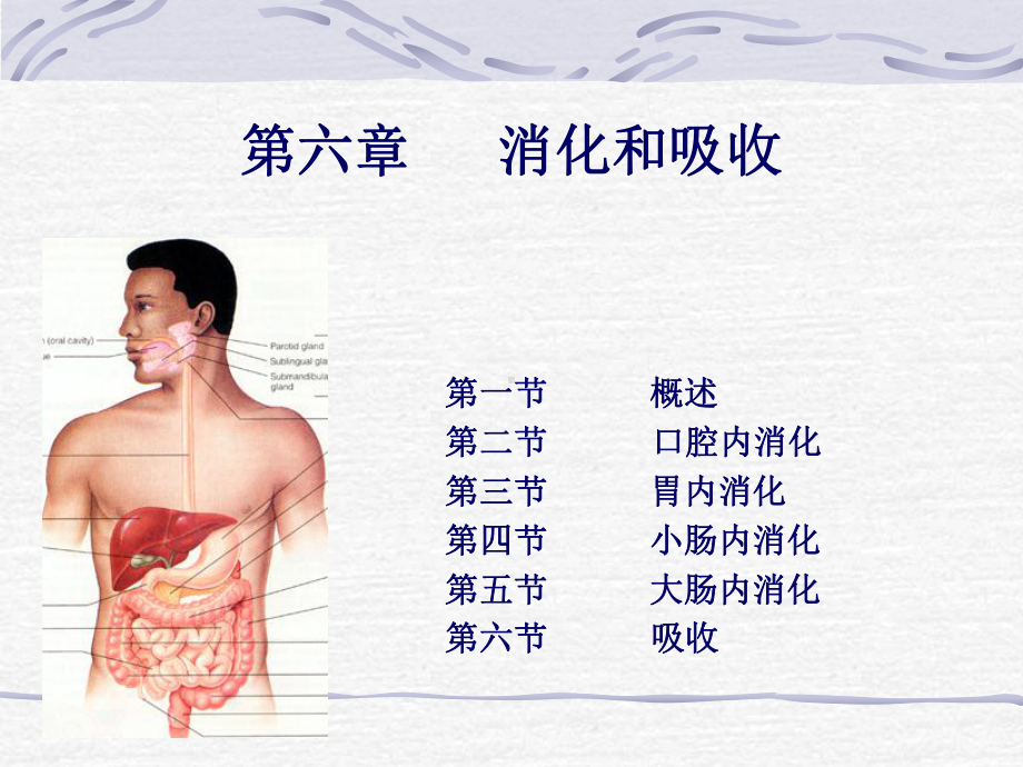 医学精品课件：6-消化和吸收.ppt_第1页