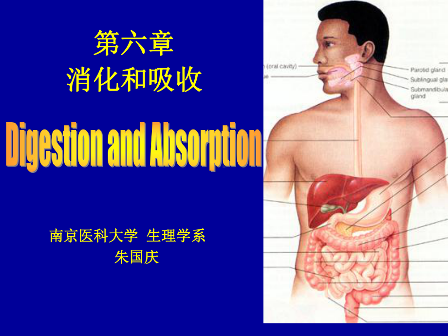 医学精品课件：N消化B.ppt_第1页