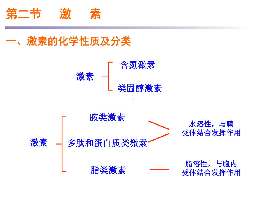 医学精品课件：10内分泌与生殖.ppt_第3页