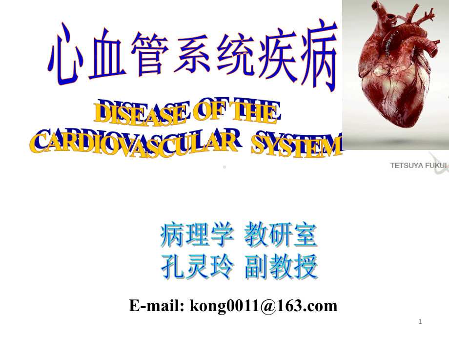 医学精品课件：7 心血管 2.ppt_第1页