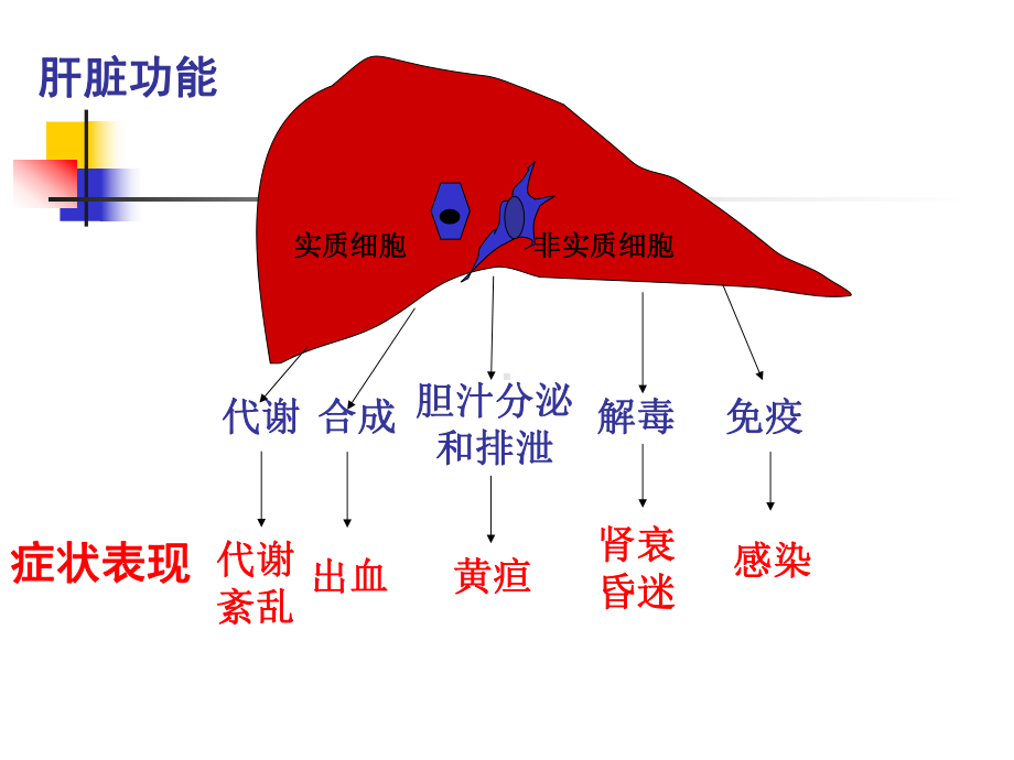 医学精品课件：肝功能障碍2016.ppt_第2页