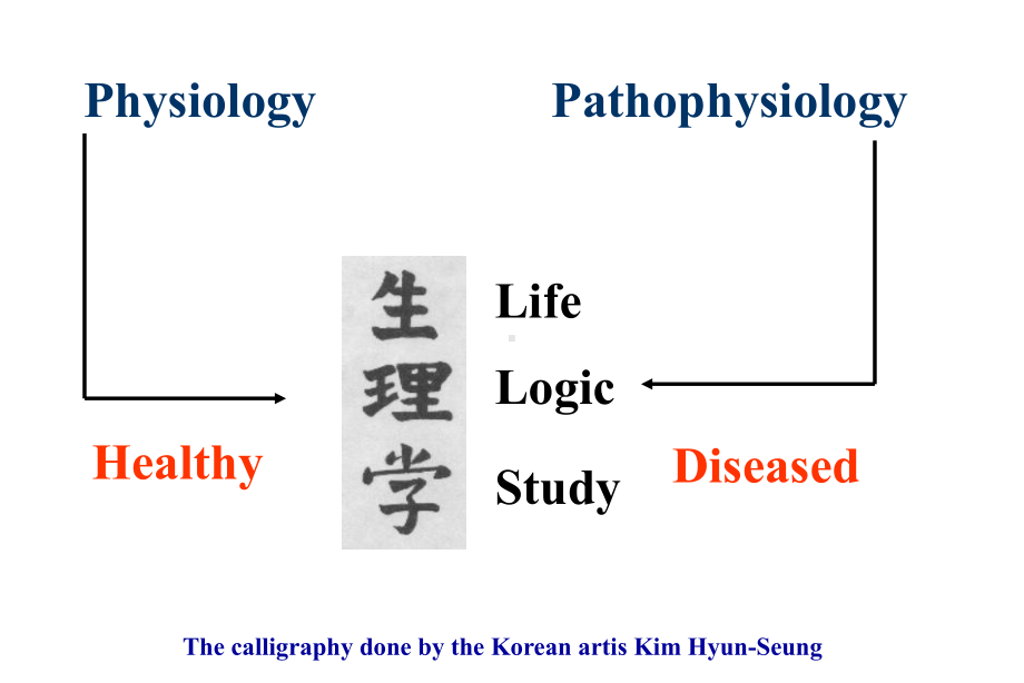 医学精品课件：第0章病理生理学绪论 2014 (1).ppt_第2页