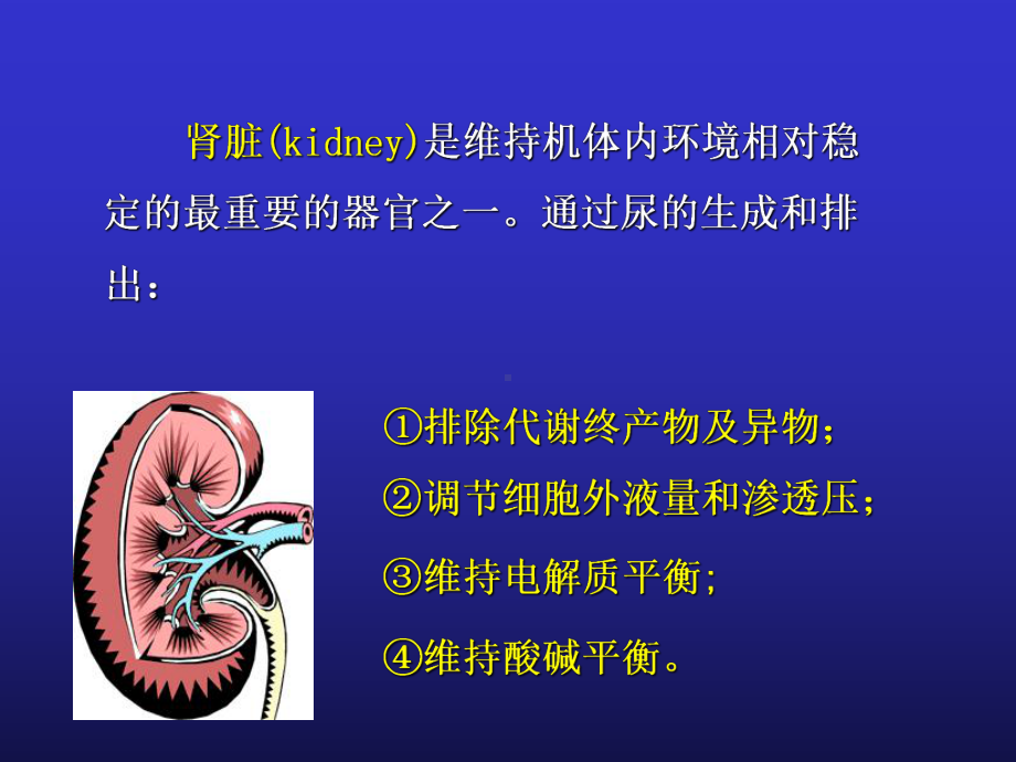 医学精品课件：影响尿生成因素-王.ppt_第2页