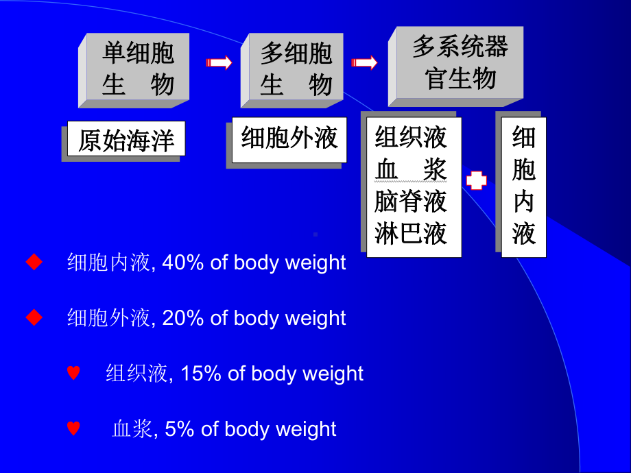 医学精品课件：3-血液.ppt_第2页