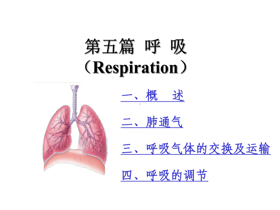 医学精品课件：呼吸A(修改).ppt_第1页