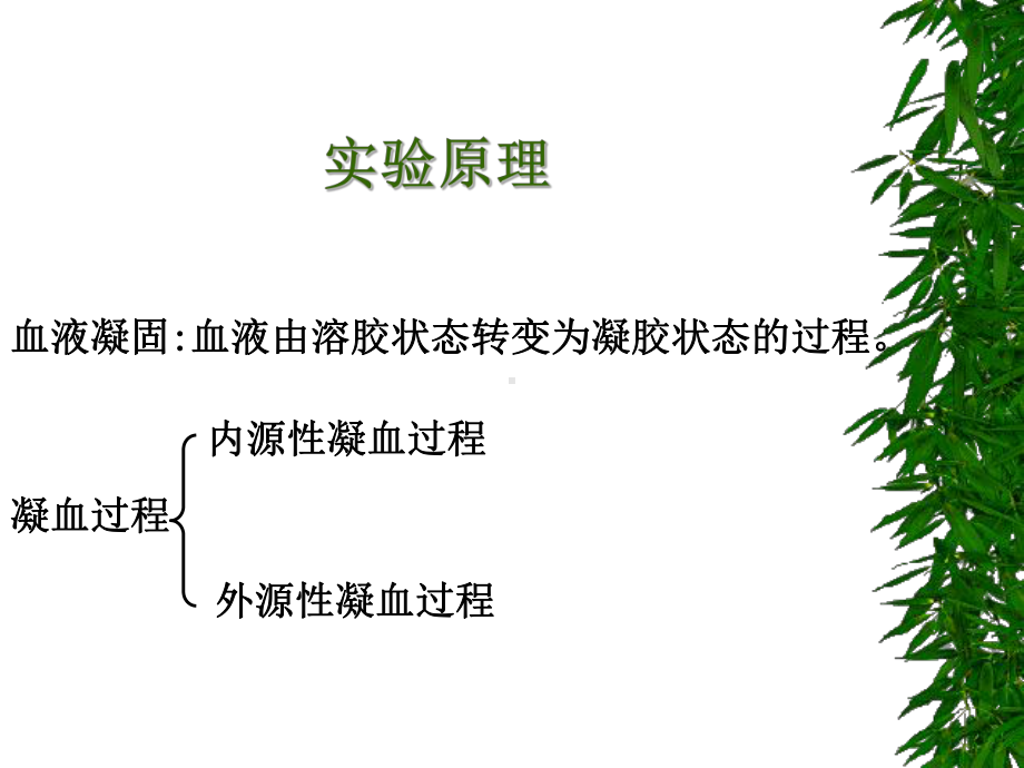 医学精品课件：血凝因素.ppt_第3页