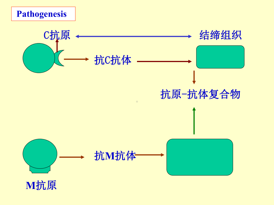 医学精品课件：4.风湿病、心瓣膜病.ppt_第3页