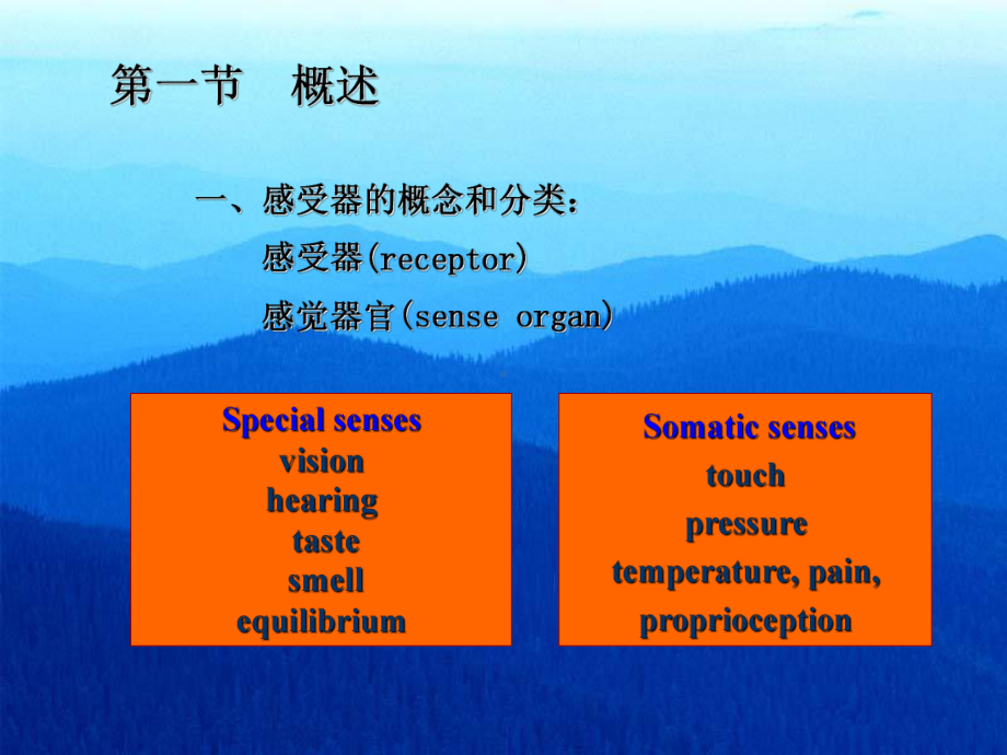 医学精品课件：感觉(上课用).ppt_第3页