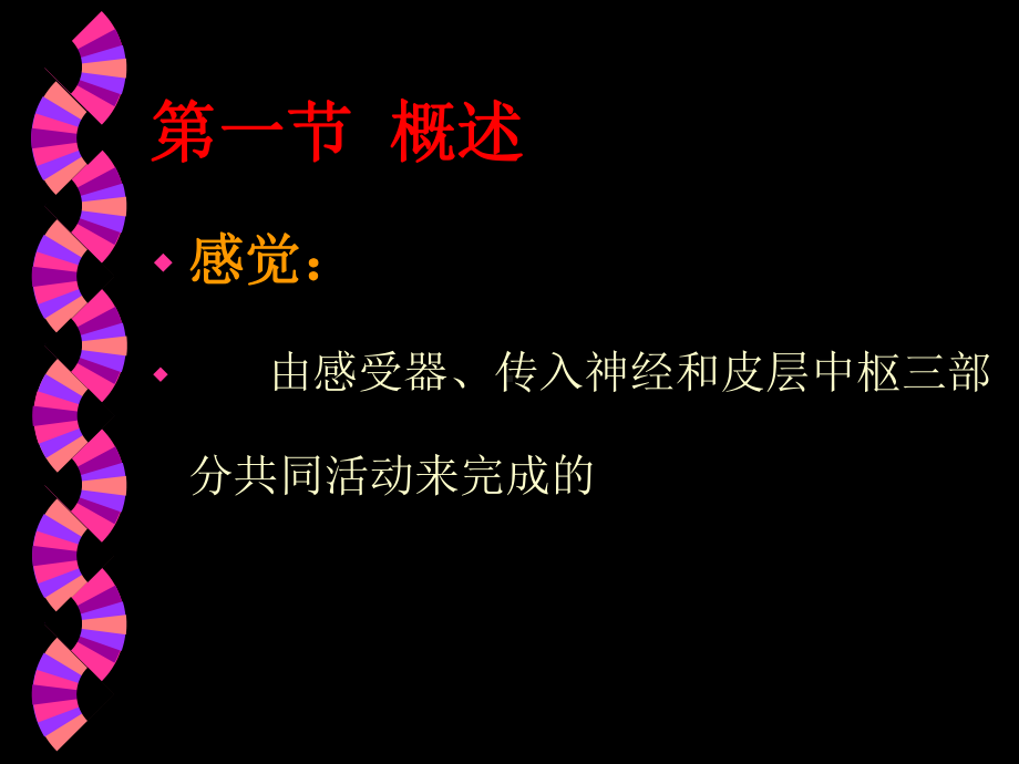 医学精品课件：感官.ppt_第2页