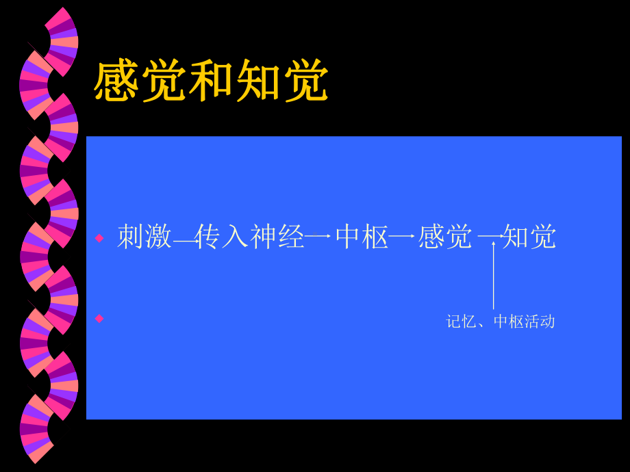 医学精品课件：感官.ppt_第3页