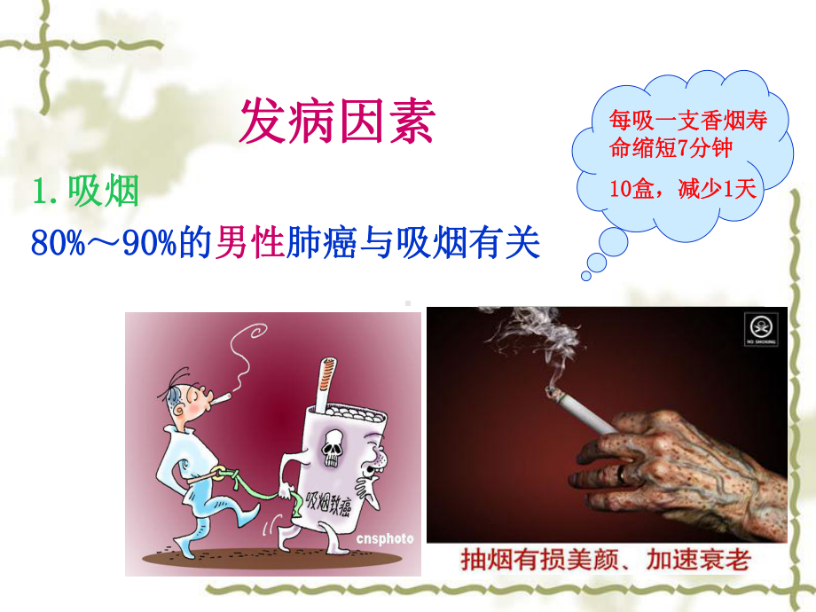 医学精品课件：肺癌课件.ppt_第3页