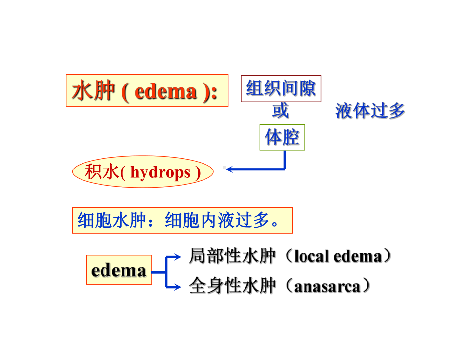 医学精品课件：3.水肿(8).ppt_第3页