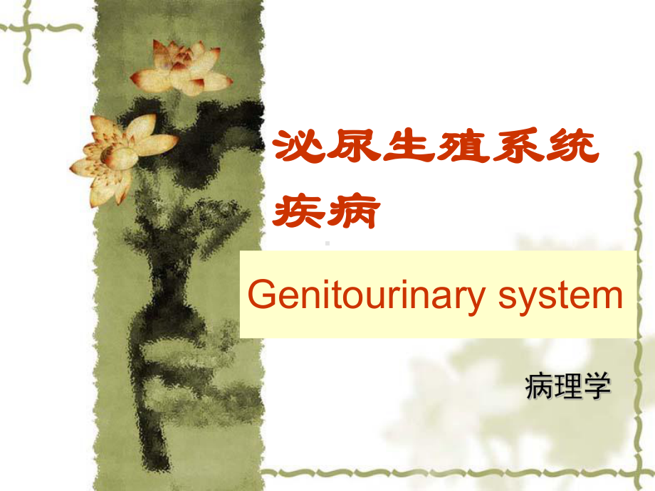 医学精品课件：泌尿生殖系统疾病1.ppt_第1页