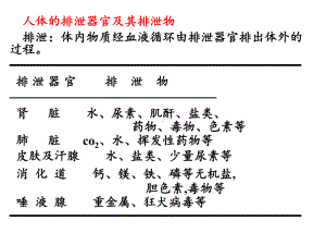 医学精品课件：尿的生成(修改).ppt