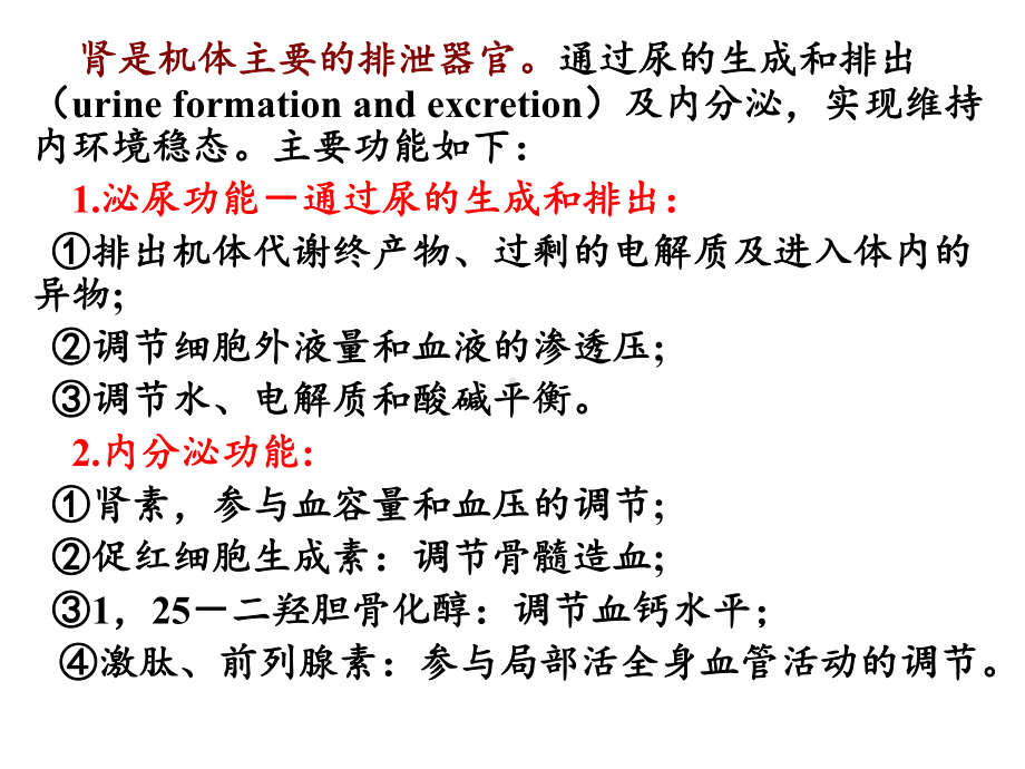 医学精品课件：尿的生成(修改).ppt_第2页