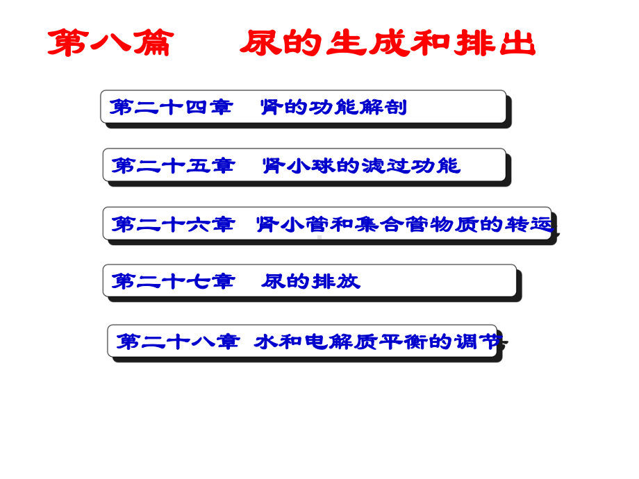 医学精品课件：尿的生成(修改).ppt_第3页