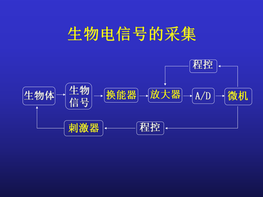 医学精品课件：A神经干动作电位－崔胜中.ppt_第2页