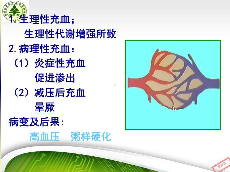 医学精品课件：血液循环.ppt_第3页