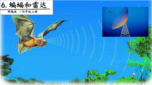 四年级上册语文课件-第2单元 6 蝙蝠和雷达 第二课时 人教（部编版）(共20张PPT).pptx