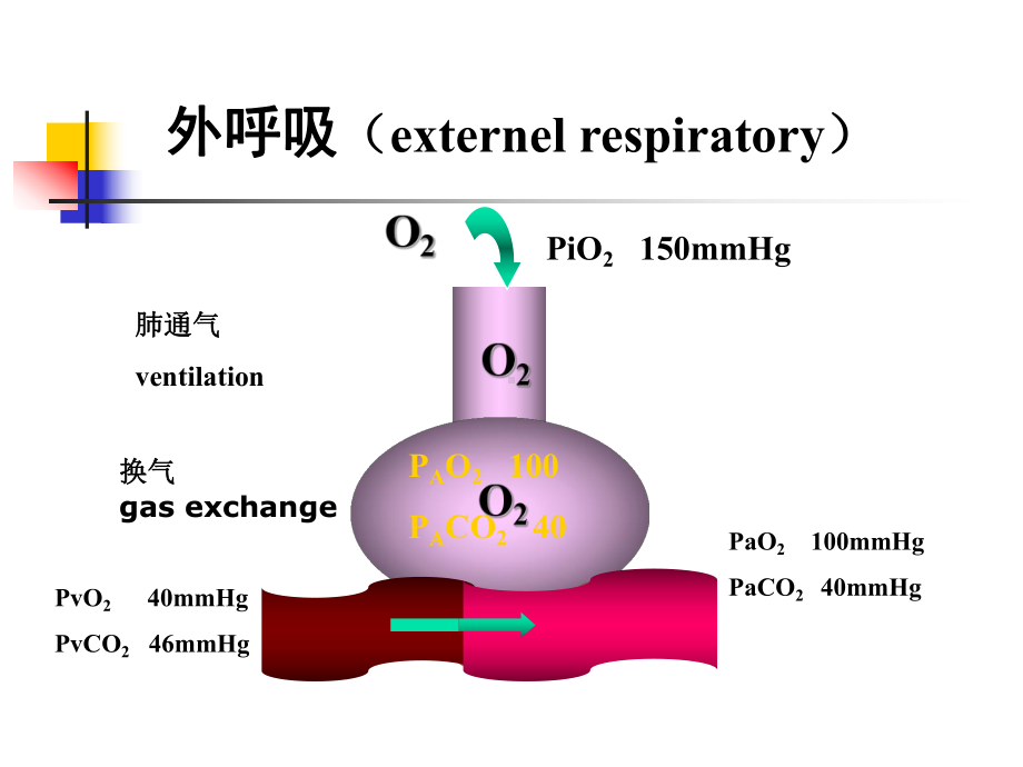 医学精品课件：16呼吸衰竭8版-2015.ppt_第3页