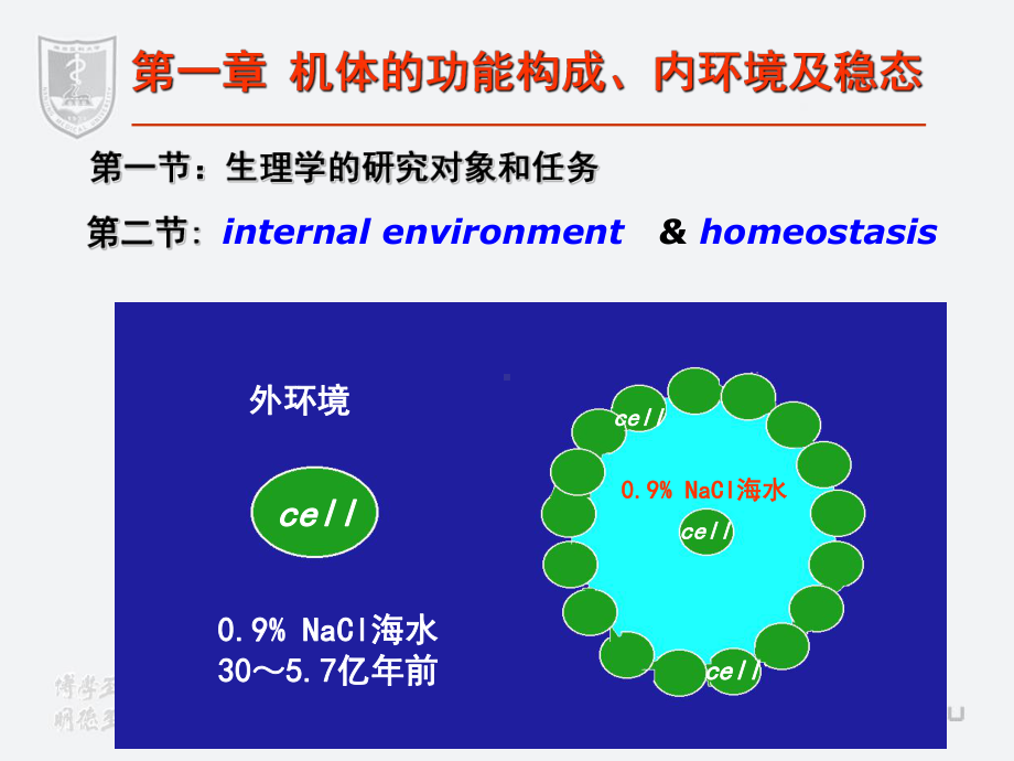 医学精品课件：11级七生理第1篇.ppt_第3页