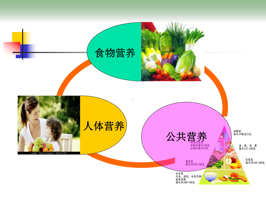 医学精品课件：第四章 公共营养2014.ppt_第2页