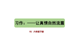 部编版语文六年级下册 习作：让真情自然流露课件.pptx