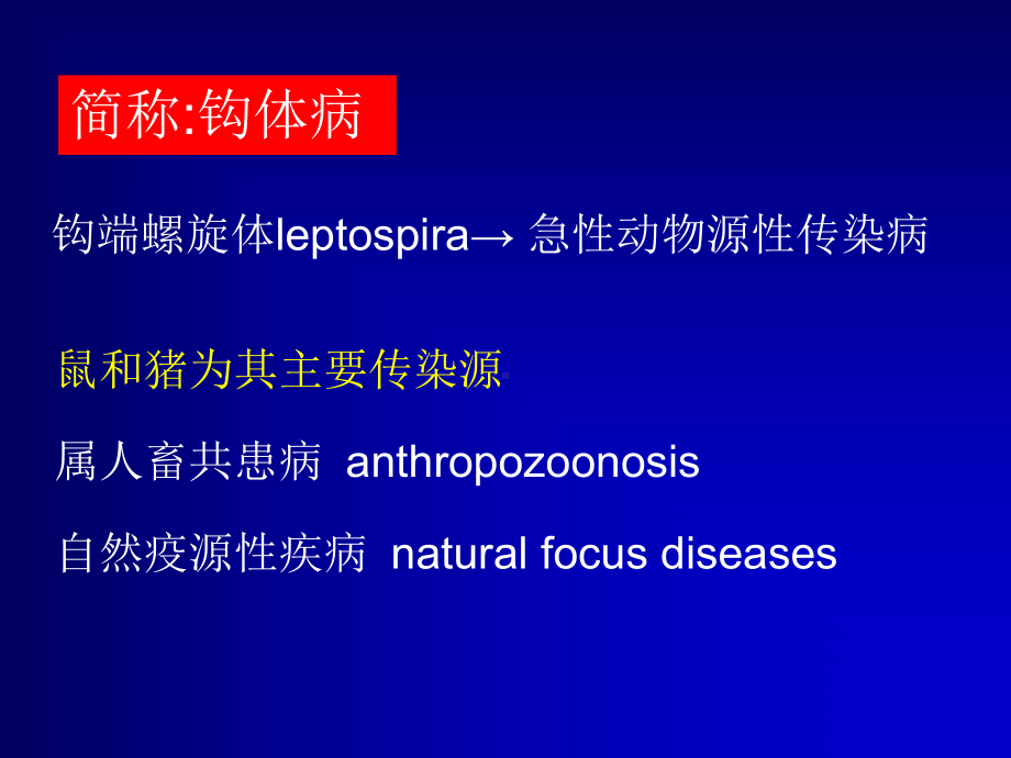 医学精品课件：14钩体病.ppt_第2页