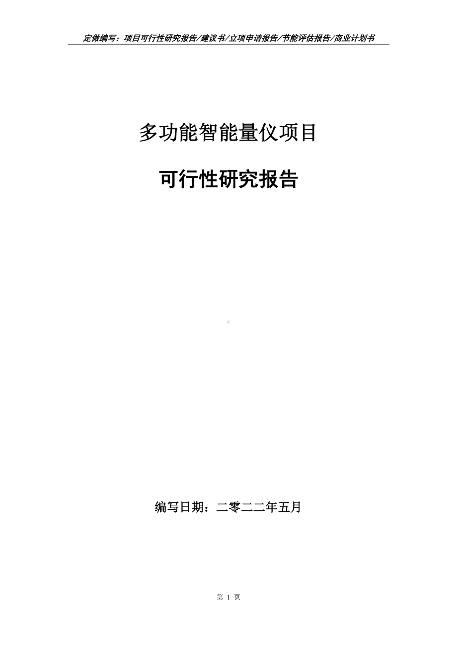 多功能智能量仪项目可行性报告（写作模板）.doc_第1页