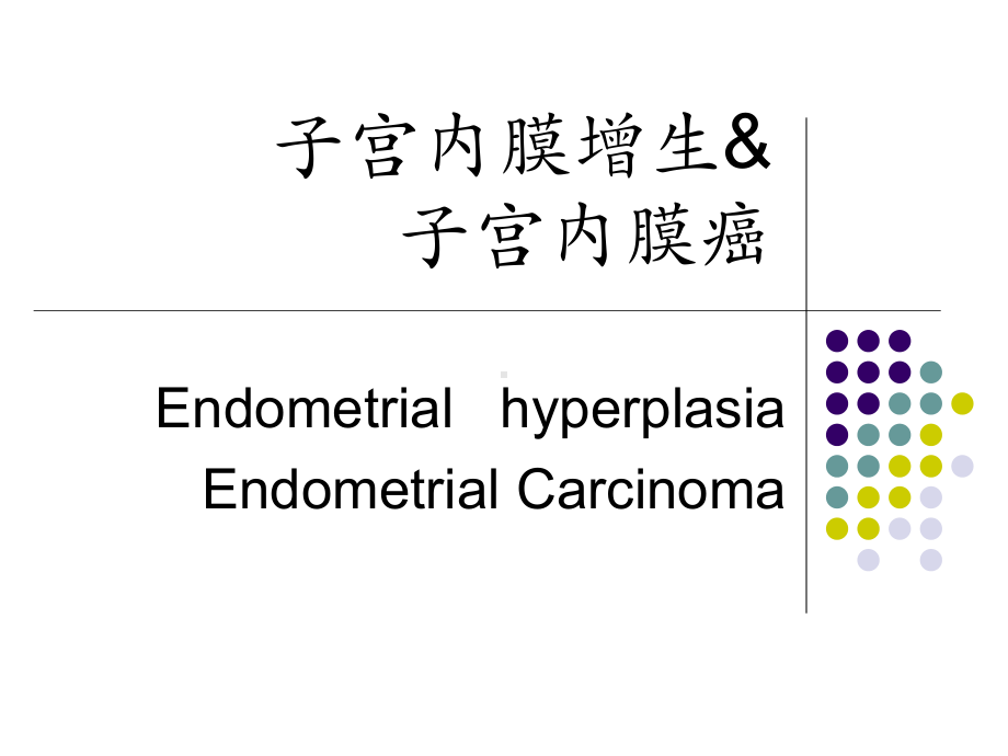 医学精品课件：（13）子宫内膜癌（2010）.ppt_第1页